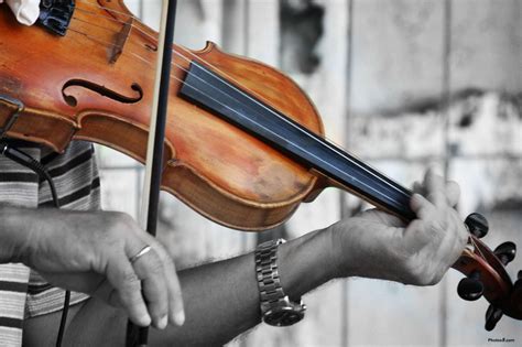 Violin Wallpapers - Wallpaper Cave