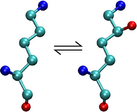 6: Illustrates hydroxylation of lysine, as it happens in collagen and a ...