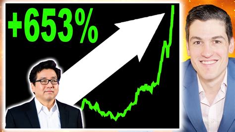 Tom Lee Buy This Stock Now Never Work Again Youtube