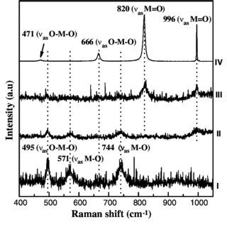 Scanning Electron Microscopy Of The Molybdenum Oxycarbide Samples