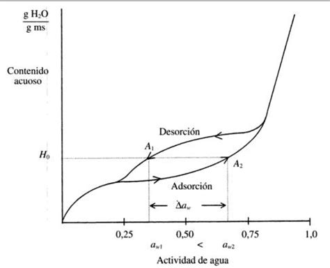 El Agua La Esencia De La Vida Isotermas De Adsorci N Y Desorci N