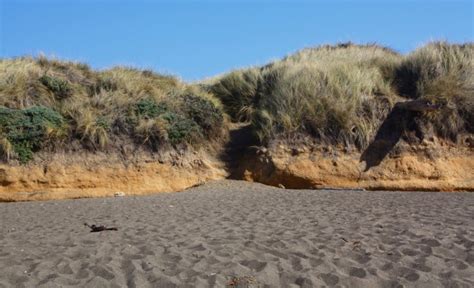 Manchester State Park Beach in Manchester, CA - California Beaches