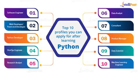 Python Developer Roles And Responsibilities Updated