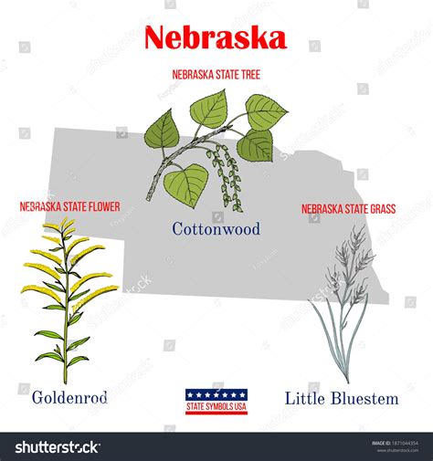 Nebraska Set Usa Official State Symbols Stock Vector (Royalty Free ...