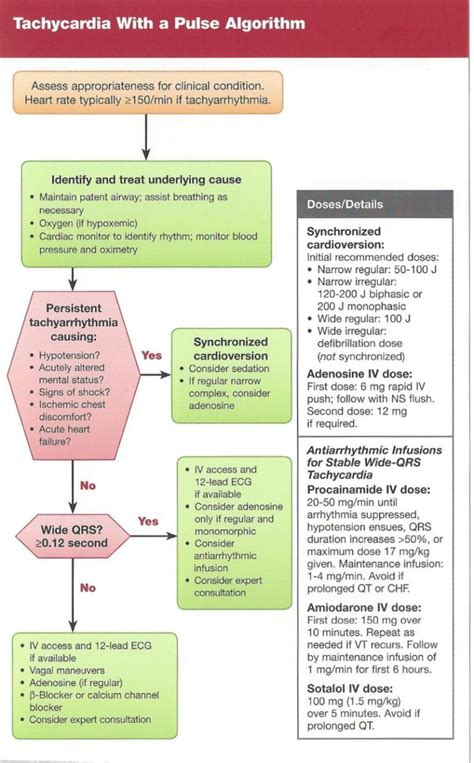 Ventricular Tachycardia Acls Algorithm