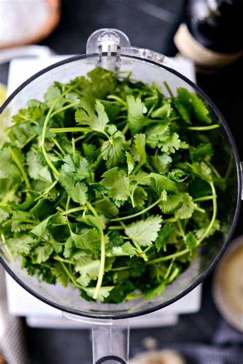 Easy Homemade Cilantro Pesto Simply Scratch