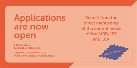 The Afrika Kommt Fellowship Programme 2022 2024 For Future Leaders