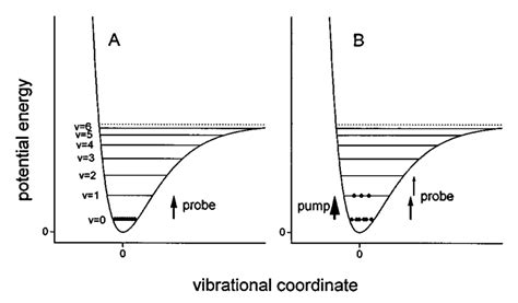 Schematic Representation Of A Vibrational Potential And Energy Levels