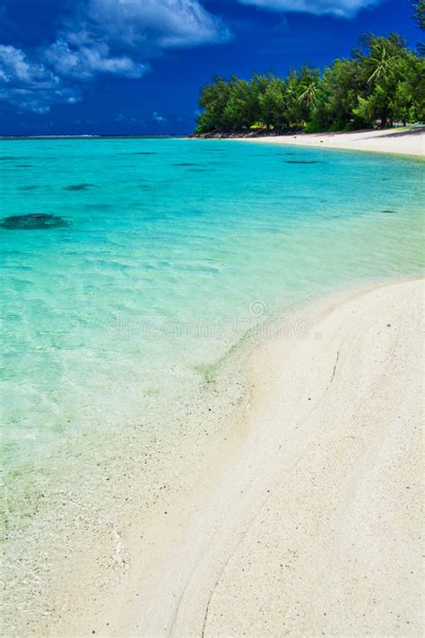 La Migliore Spiaggia Di Nuoto Con Le Palme Su Rarotonga Cuoco Islan