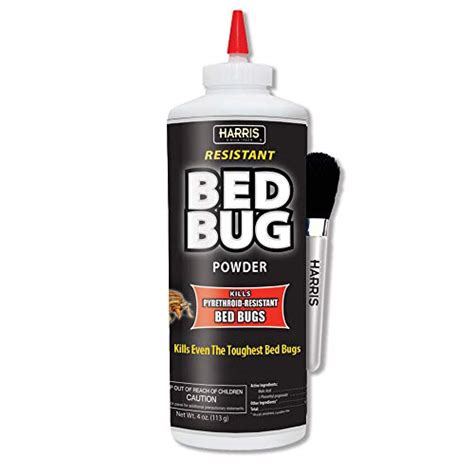 Best Powder To Kill Bed Bugs: An Effective Solution To Your Pest Problem