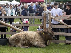 Landwirtschaftskammer SH Beim 21 Gottorfer Landmarkt Auf Der