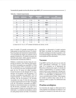 Rb51 Vs Cepa19 MSD Finca Productiva Salud Del Hato PDF