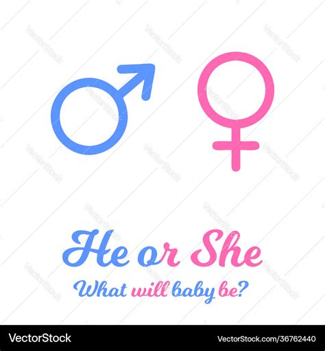 Blue and pink gender signs baby boy or girl Vector Image