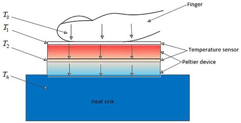 Schematic diagram of double-layer Peltier system. | Download Scientific ...