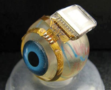 Artificial Eye Retinal Prosthesis Could Help The Blind See Again Muddlex