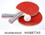 Ping Pong Sport Free Stock Photo Public Domain Pictures