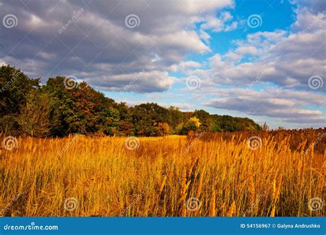 Autumn Field Stock Image Image Of Farming Background 54156967