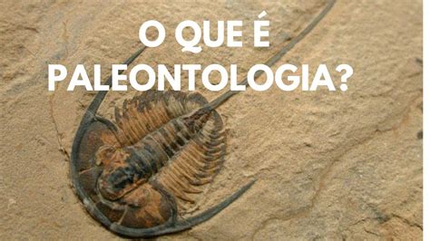 O que é paleontologia YouTube