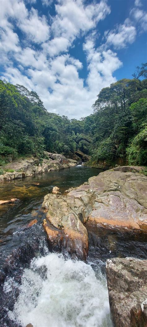 Parque Caminhos Do Mar Tem Ingressos De Desconto