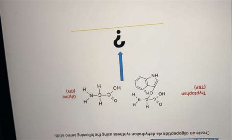 Solved Create an oligopeptide via dehydration synthesis | Chegg.com