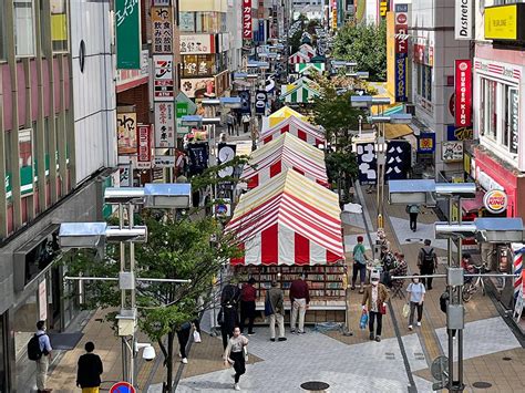 八王子駅周辺で「古本まつり」開催へ テーマは「犬と猫」 八王子経済新聞