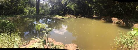 Panor Mica Lago De Peixes Ciclovivo