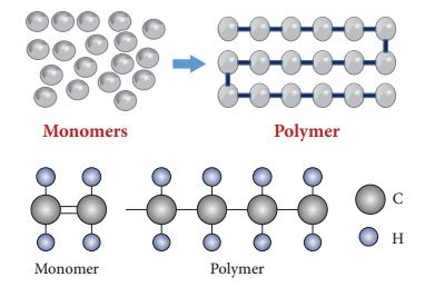 What Are Polymers Polymer Chemistry Term 3 Unit 3 7th Science