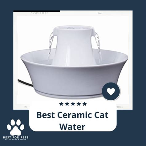 Best Ceramic Cat Water Fountains In