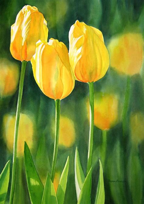 Yellow Tulips By Sharon Freeman Watercolor Tulips Tulip Painting