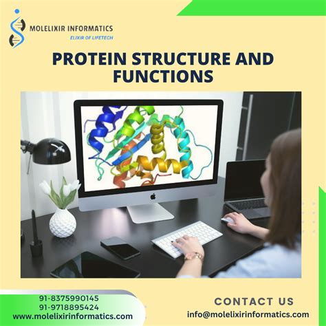 Molelixir Informatics | Protein Structure and Function