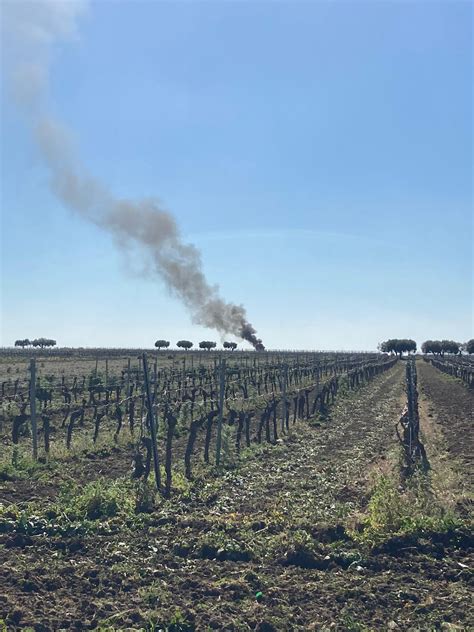 MARSALA NELLE CAMPAGNE CONTINUA A BRUCIARE LA SPAZZATURA Trileggo