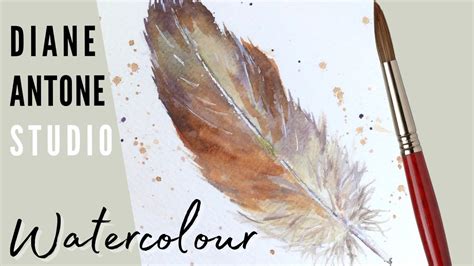 How To Paint A Feather In Realistic Watercolour Step By Step Tutorial