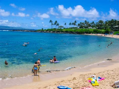 Kapalua Bay Snorkeling Secrets! The Complete Guide to Maui Snorkeling!