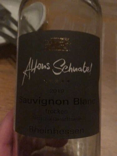 Winzerhof Alfons Schnabel Sauvignon Blanc Trocken Vivino Us