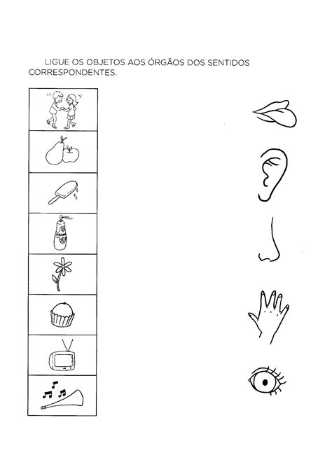 Atividades Sobre Os Cinco Sentidos Para Educa O Infantil Mundinho Da