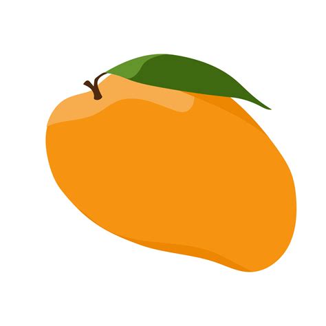 mango fruit. the tropical fruits illustration. colorfull fruit ...