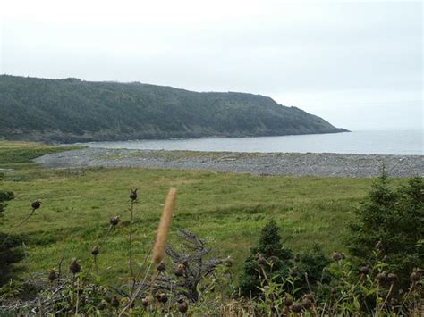 Gooseberry Cove Provincial Park Placentia All You Need To Know