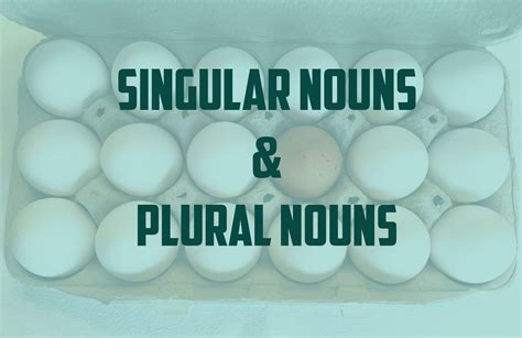 Penjelasan Singular Dan Plural Nouns Dan Bagaimana Cara Membentuk