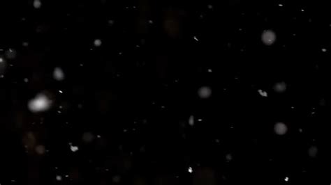 Snow Falling Video Free Stock Video Footage, Royalty-Free 4K & HD Video ...