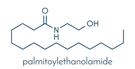 Palmitoylethanolamide Qualia