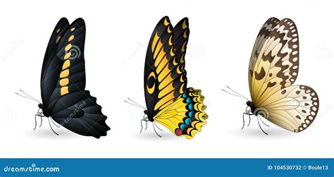 Sistema De Mariposas Realistas Coloridas Ilustración del Vector