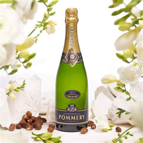 Pommery Apanage Brut Bouteille - Champmarket