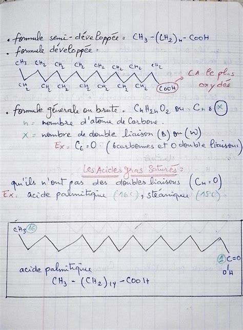 Solution Les Lipides Biochimie Studypool