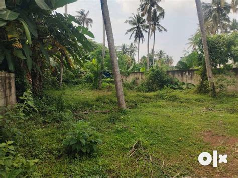 Id K Cent Land For Sale At Pattom Lands Plots