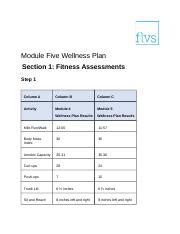 Module Five Wellness Plan Docx Module Five Wellness Plan Section