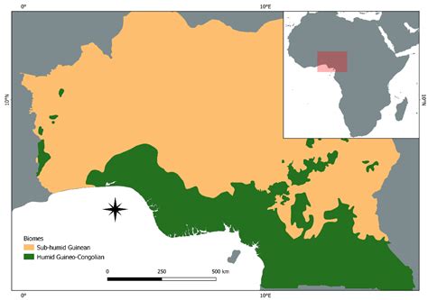 rainforest map of the world 2
