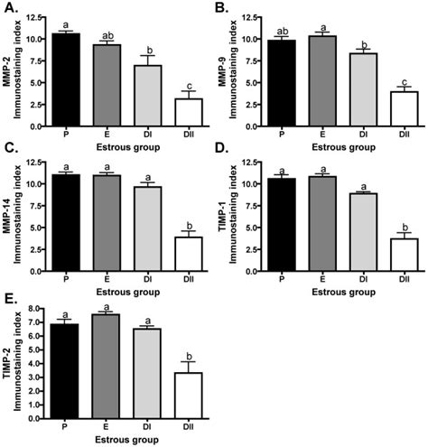 Extent Of Immunostaining For MMPs And TIMPs During The Estrous Cycle