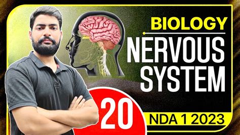 Human Nervous System Nda Biology Classes Abhyas Complete