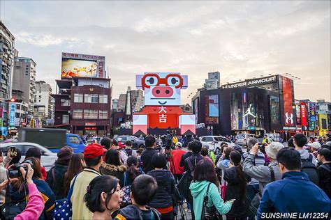 Lm12254台北燈會台北燈節2019台北燈會2019元宵節花燈燈會豬年豬年花燈裝置藝術台北市萬華區西門百變豬寶