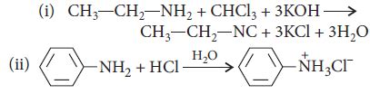 Amines Class 12 Chemistry Important Questions